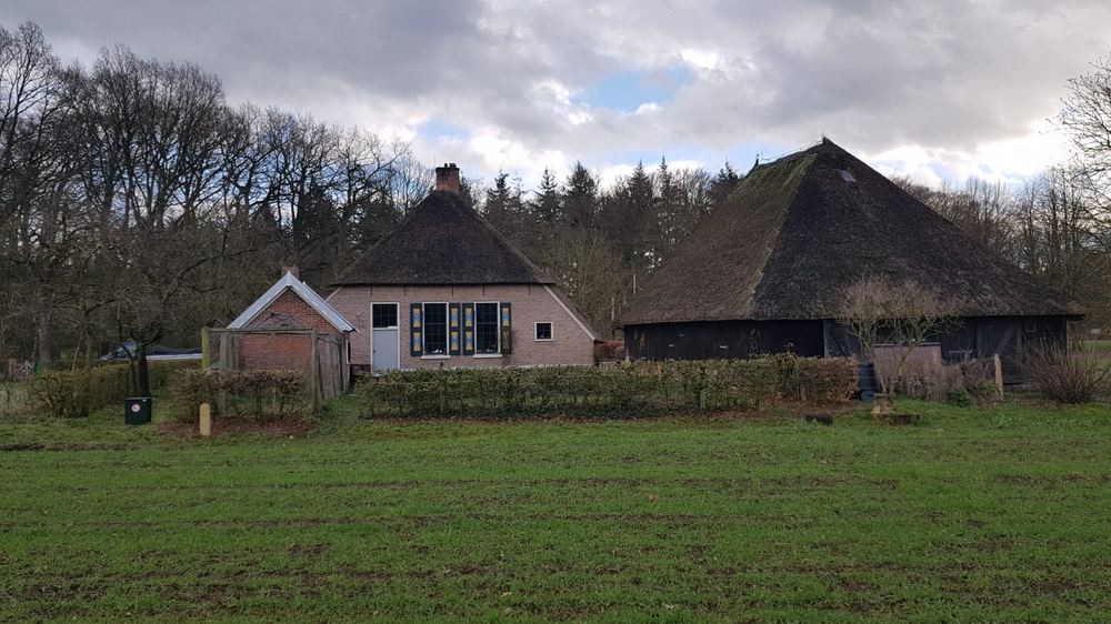 Teruggesnoeide haag van bijna 100 meter bij Erve Zoogenbrink