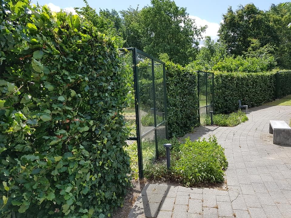 Tuinonderhoud: geknipte haag en gemaaid gazon in Deventer