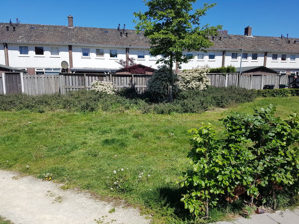 Opgeknapte tuin bij RIBW-locatie in Almelo na inhaalonderhoud