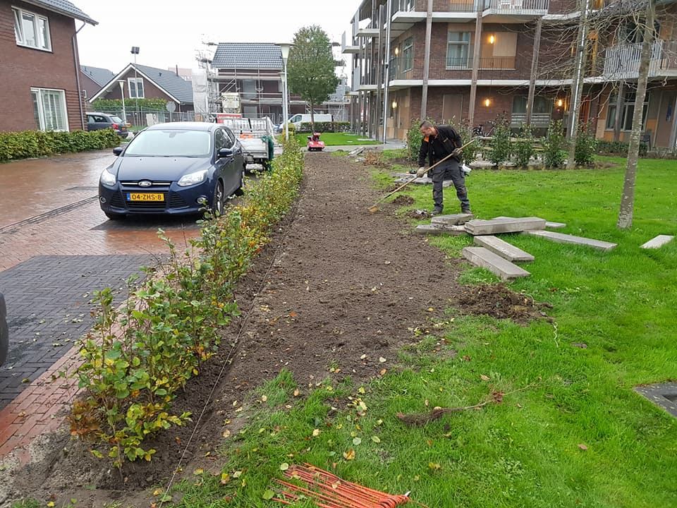 Tuinaanleg: nieuw terras met beplanting in Zwolle